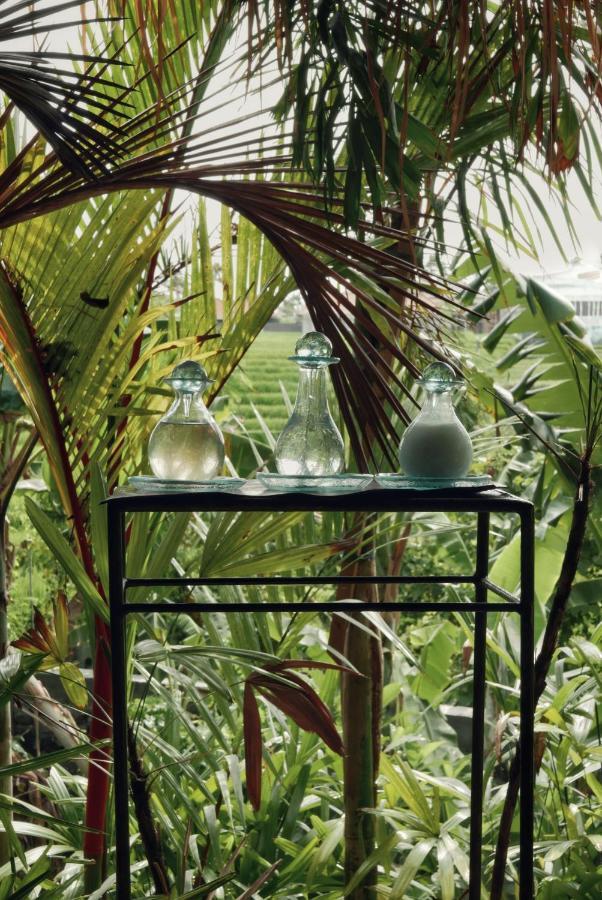 Own Villa Bali Canggu Εξωτερικό φωτογραφία